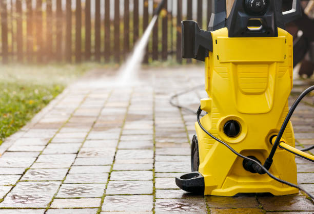 Best Gutter Cleaning  in Carbon Cliff, IL