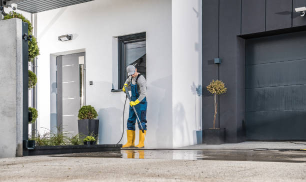 Best Oil Spill Cleanup  in Carbon Cliff, IL